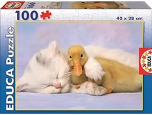 15909 ���� 100 ������� - ��� ������ ����.jpg