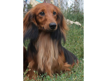 1896964 733706370029122 5822684613944723161 n.jpg