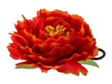 9284. �����. �������. ������ 11 ��. 79 ���.jpg