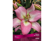 ����� �����.jpg