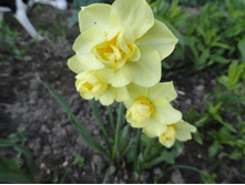 ������� ������ ���������