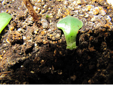 ������!) 29.03.2016