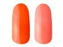 14.jpg�����-������ BLUESKY ���� 240 ���.