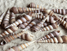 ������� ��������� ������� ��.,�������:8920,48�