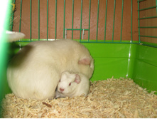 IMG 4272.JPG