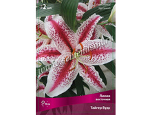 ����� ������ ����.jpg