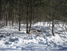 IMG 7522.jpg