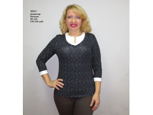 �2017 ������