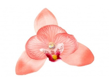 1420. �����. �����. ������ 9 ��. 29 ���.jpg