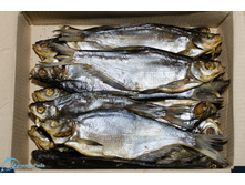 ����� �������.jpg