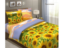 ������� ���� ����������