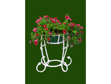 �������� �� ����� (3 ��)