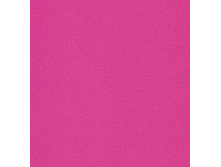 3832.jpg
