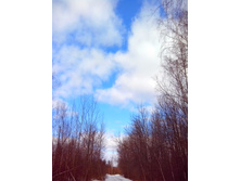 IMG 20160312 114931.jpg