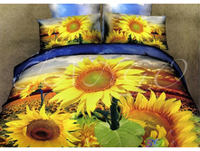 ���. TS03-974.jpg