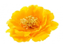 6895. �����. �����-�����. ������ 11 ��. 59 ���.jpg