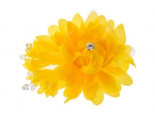 9159. �����. �����-�����. ������ 10 ��. 34 ���.jpg