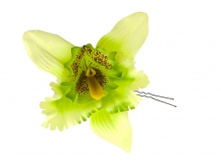 8637. �����. �������. ������ 12 ��. 29 ���.jpg