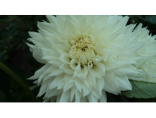 №2 ���� �����.jpg