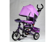 IMG 1804-600x600.JPG