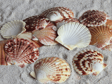 ������� ������ ���������� ��., �������:8930,48�