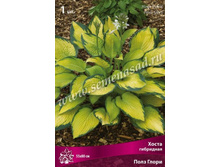 ����� ��������� ���� �����.jpg