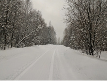 P 20160327 085410.jpg