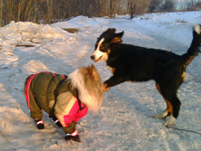 IMG 20160330 175114.jpg