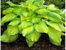 ����� ��������� ������ �����.jpg