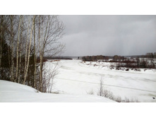 IMG 20160313 120718.jpg