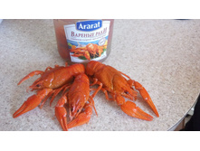 IMG 20160220 151204.jpg