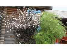 ������������� � ������