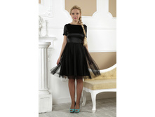 ������ ���  ������ 1019