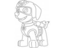 Image337.png