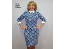 ��2009 �����