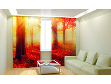 ��������� ������� ���.jpg