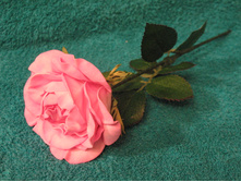 �������� � ���� ���������