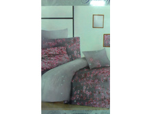 ������ ������� ���