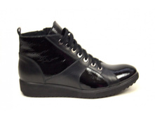 ������� ���������� ANN MEX - 2950 ���