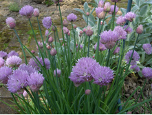 ���-�����