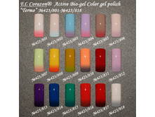 ����� �������