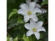 �������� ��������������� �������.jpg