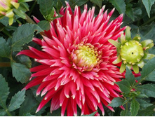 №63 ������� �.jpg