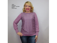 �2031 ����