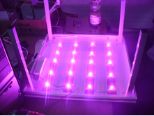 ���������� 3