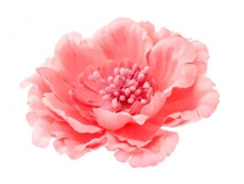 6913. �����. �����-�����. ������ 11 ��. 59 ���.jpg