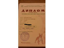 ������ 18.03.2012.jpg
