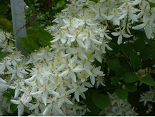 �������� ��������������