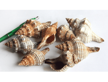 ������� ���������� ��������� ��.,�������:8946, 76�