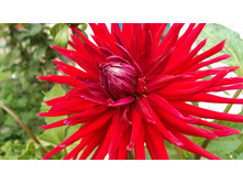 №23 ����.jpg